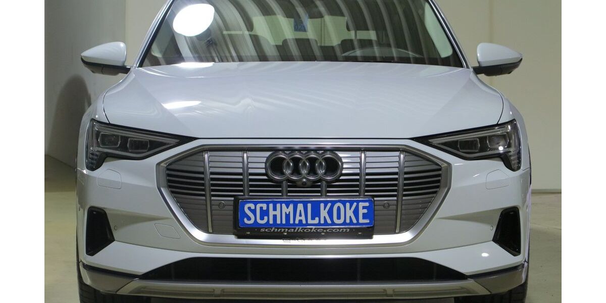 Audi e-tron 55.400 km 31.950 &euro; Braunschweig 38112