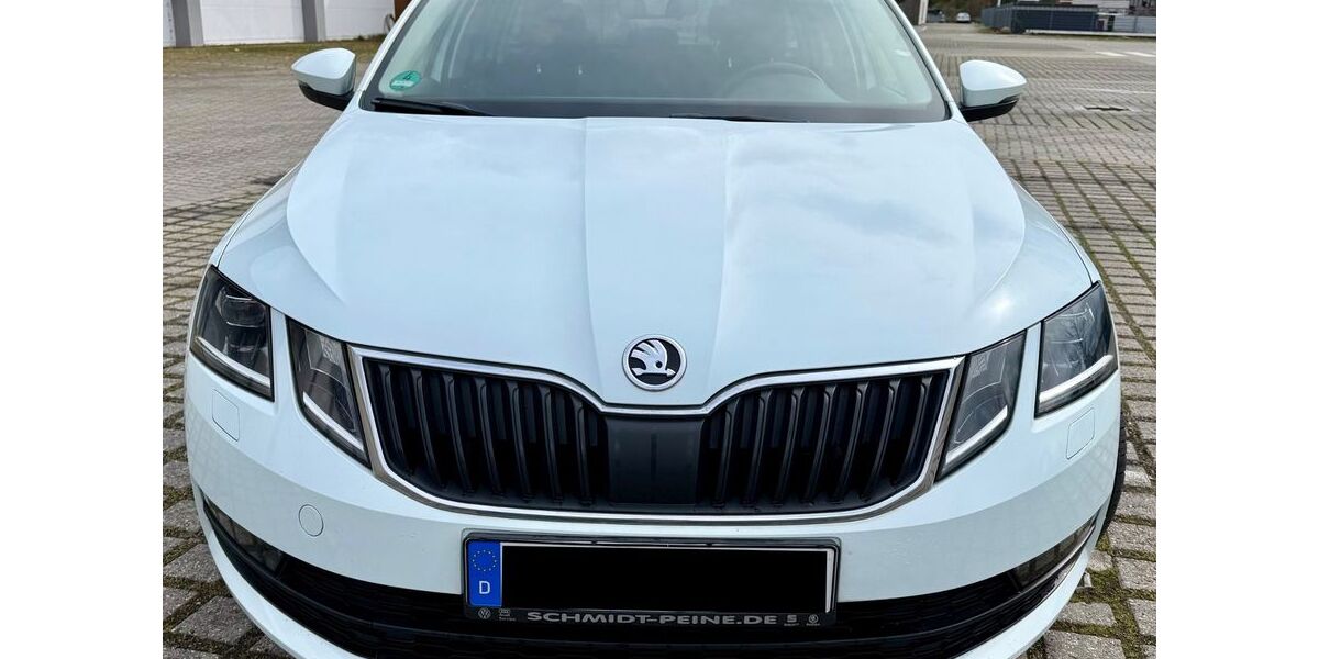 Skoda Octavia 176.105 km 11.000 &euro; Salzgitter 38228