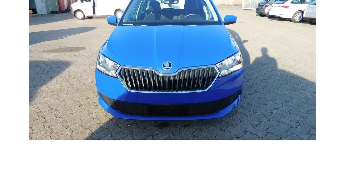 Skoda Fabia 1.0 Ambition TSI BMT DSG Navi Klima 13.000 km 16.690 &euro; Vordorf 38533