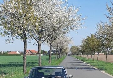 MG B 94.000 km 12.500 &euro; Vechelde 38159