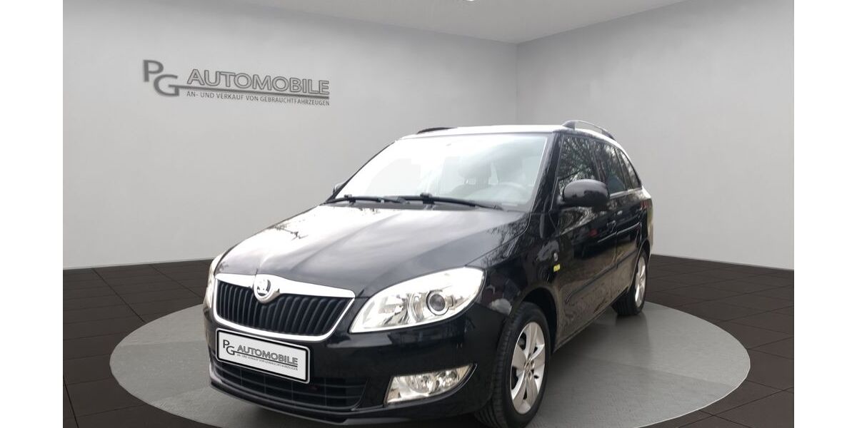 Skoda Fabia 169.000 km 5.290 &euro; Braunschweig 38110