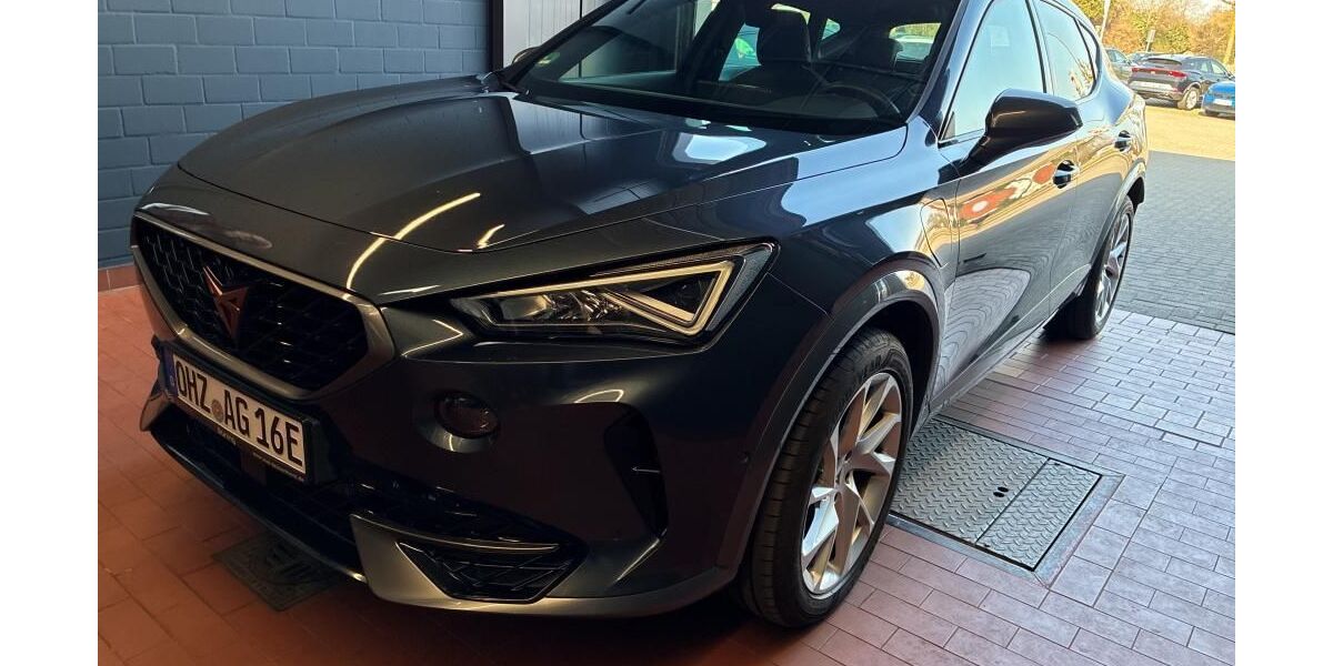 Cupra Formentor 112.834 km 19.990 &euro; Braunschweig 38122