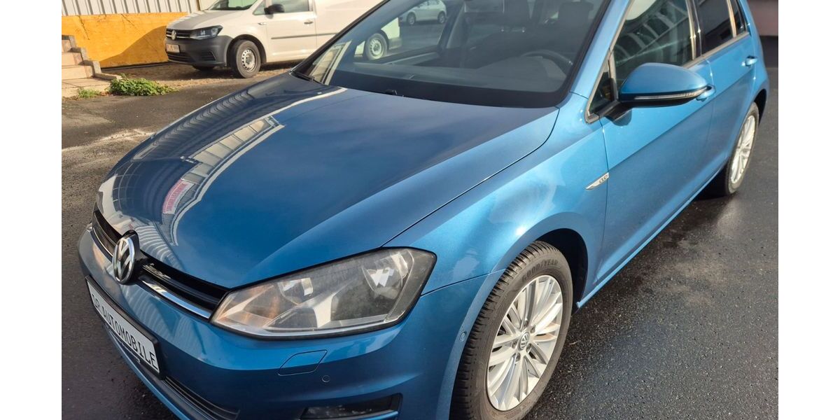 VW Golf 113.000 km 7.990 &euro; Braunschweig 38112