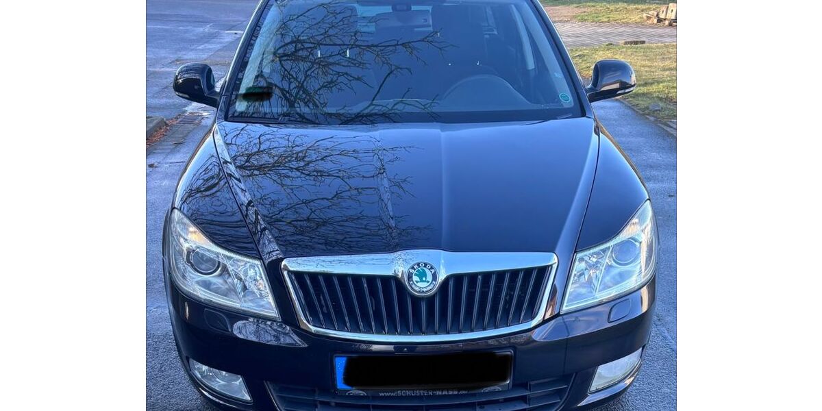 Skoda Octavia 140.222 km 5.200 &euro; Wendeburg 38176