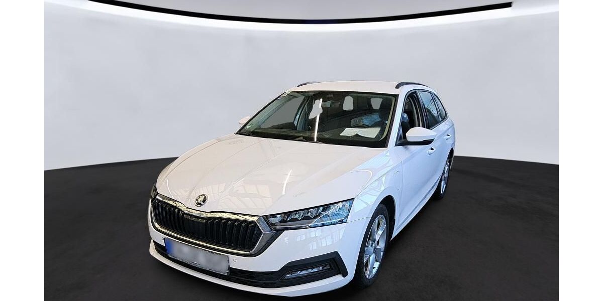 Skoda Octavia 144.193 km 16.990 &euro; Braunschweig 38122