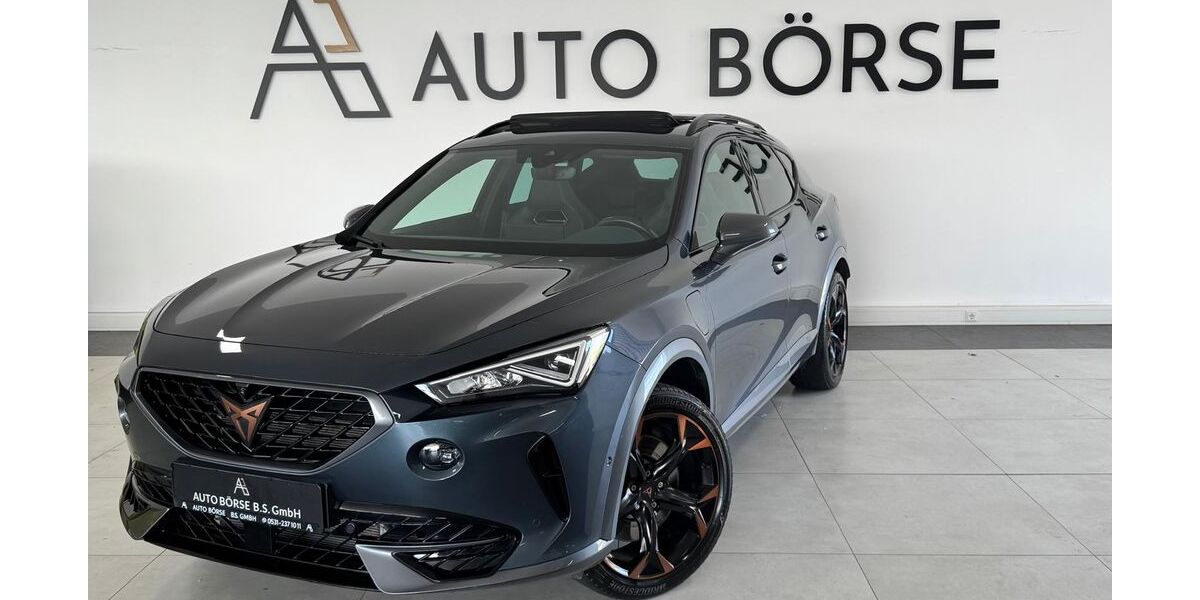Cupra Formentor 59.500 km 25.890 &euro; Braunschweig 38114