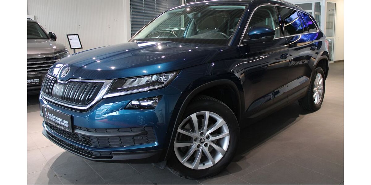 Skoda Kodiaq 181.000 km 21.490 &euro; Braunschweig 38126