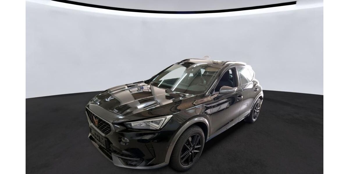 Cupra Formentor 88.175 km 24.990 &euro; Braunschweig 38122