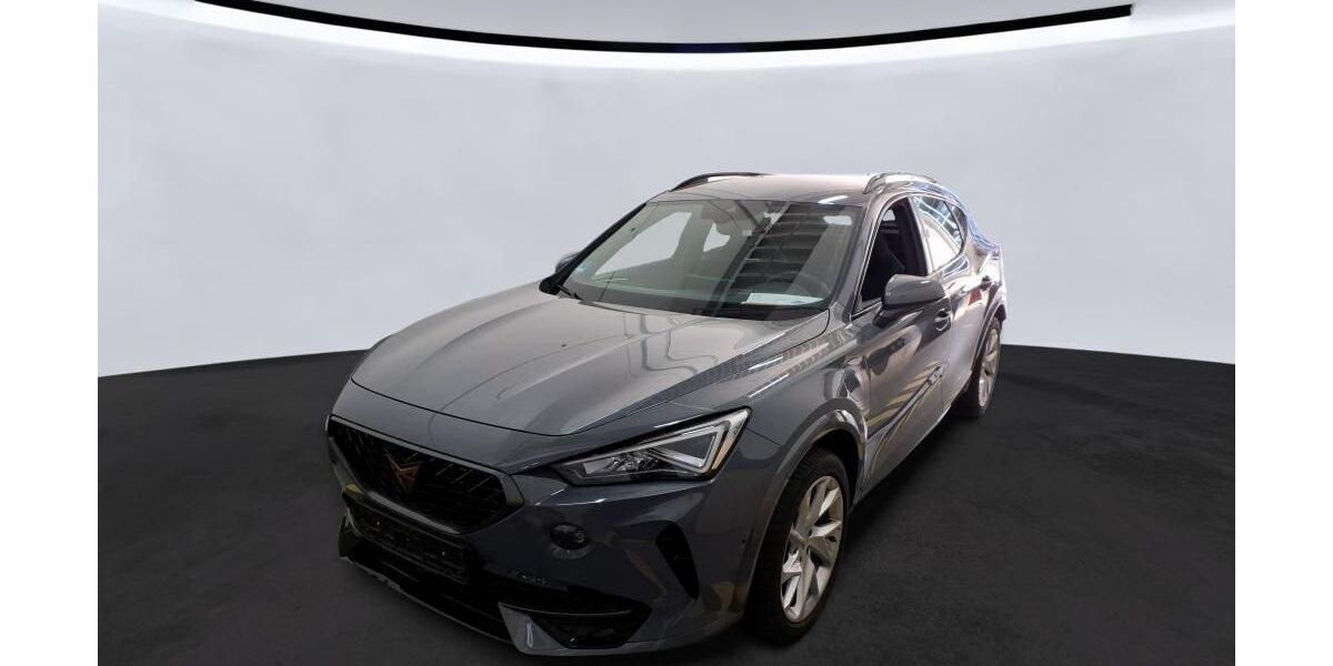 Cupra Formentor 88.450 km 24.990 &euro; Braunschweig 38122