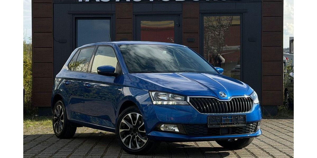 Skoda Fabia 128.200 km 8.250 &euro; salzgitter 38259