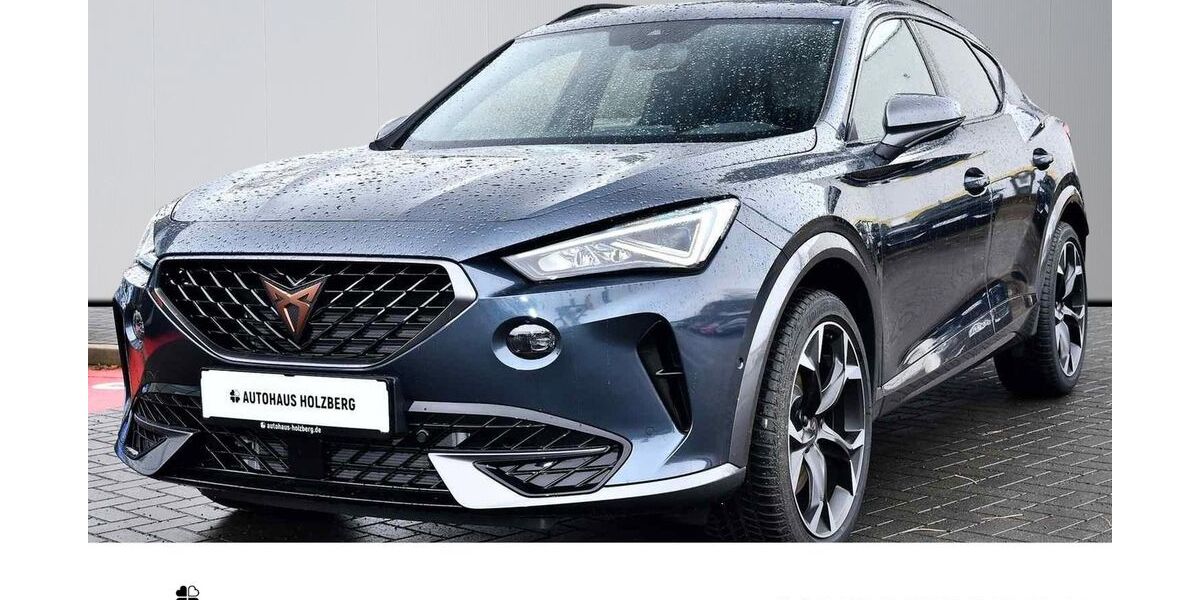 Cupra Formentor 88.750 km 25.475 &euro; Braunschweig 38114