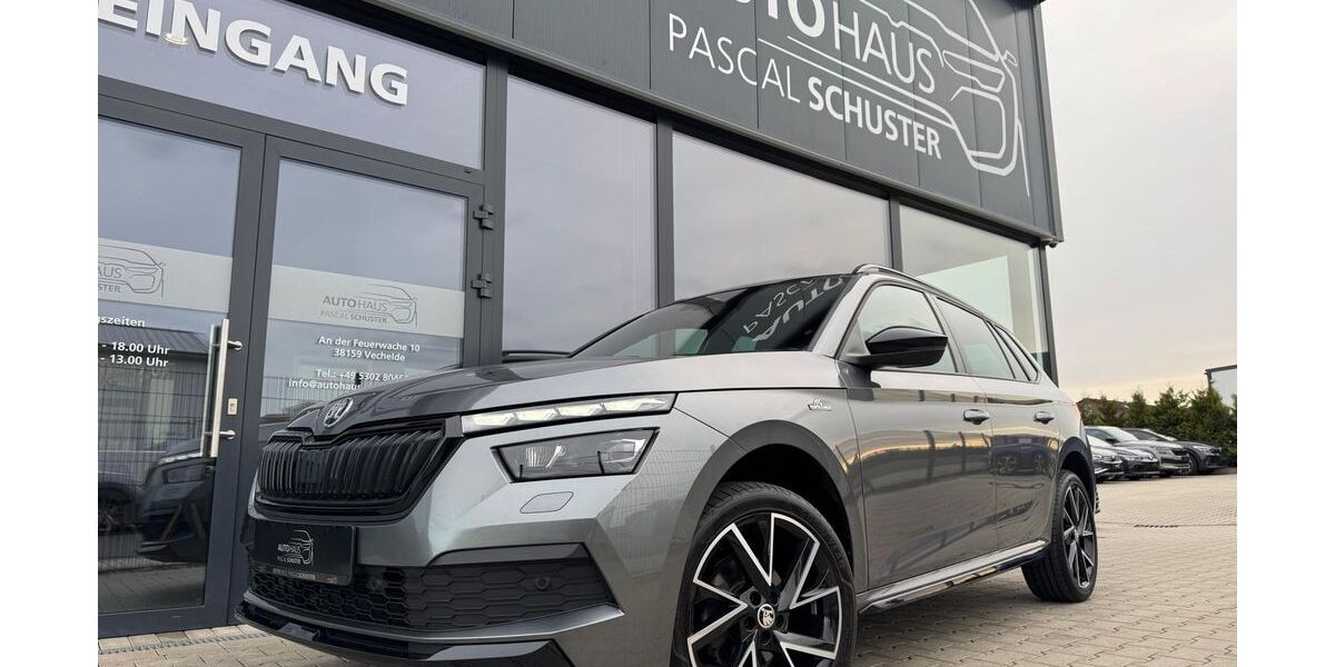 Skoda Kamiq 95.000 km 19.950 &euro; Vechelde 38159