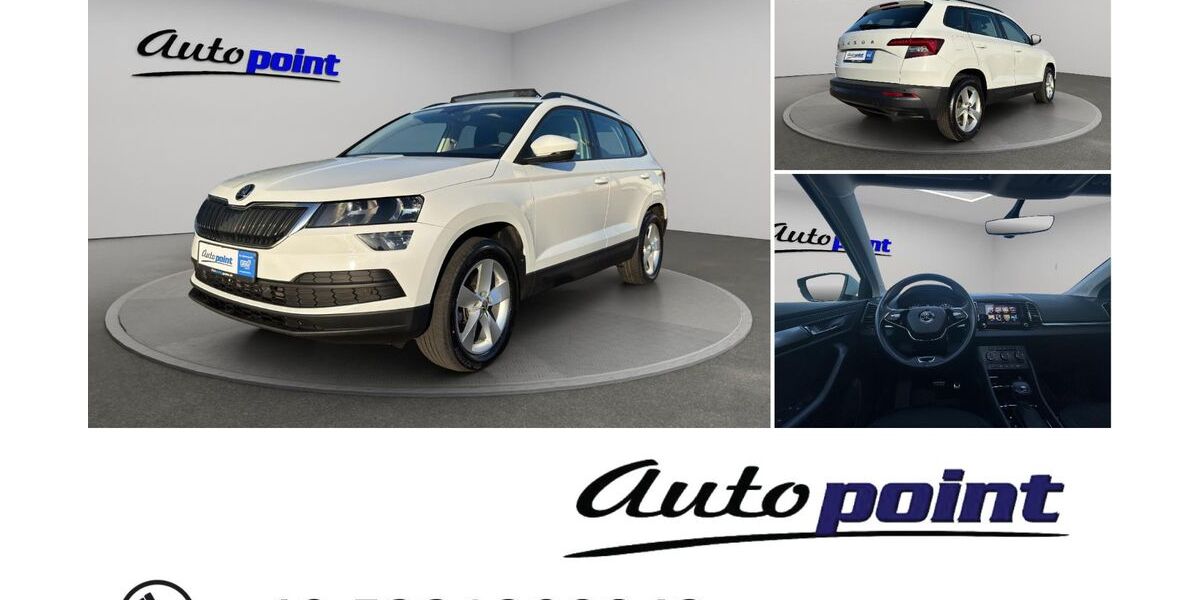 Skoda Karoq 175.000 km 17.950 &euro; Goslar 38644
